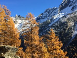 Image Ferpècle - Val d'Hérens